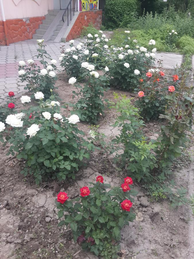 Fm Hostel Almaty Koktobe 外观 照片
